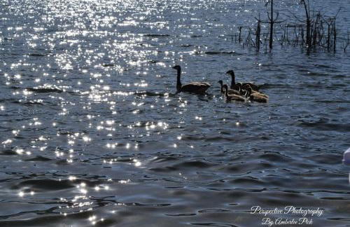 Yosemite Foothill Retreat - Private Guest Suite #3 - Foto 39