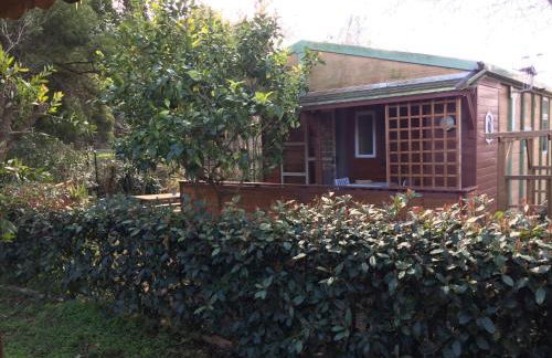 Beach house à Marina di Sorbo …Corse - Foto 2