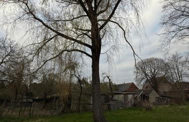 Mams-Cottage-Brunhilde - Foto 20