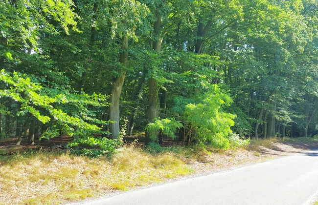 Ferienwohnung Strudthoff - Photo 17