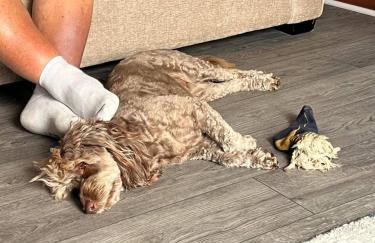 Room with a view - Foto 46