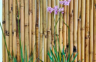 Da Mimma di Casa Camilla Journey - Foto 1