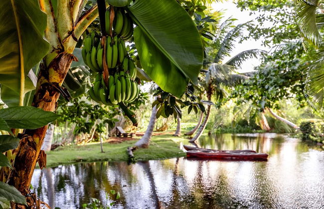 Kibayo Cabarete - Photo 27