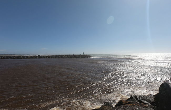 Carters Beach Holiday Studios - Foto 27