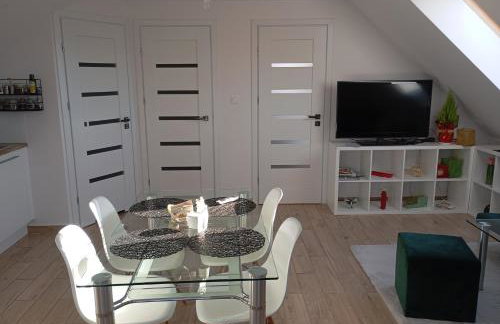 Apartment/mieszkanie u Janusza - Photo 3