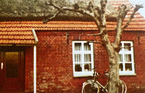 Lindenhuus-Urlaub unter einem Teilreetdach-Terrasse - Nahe Norden-Norddeich - Foto 34