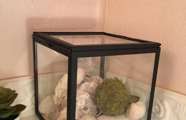 Haubarg alte Strandvogtei - Foto 8