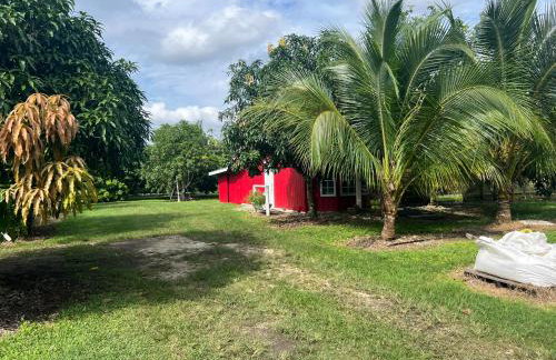 Marias Tropical Tiny Barn a Farm Stay Near Miami & Florida Keys - Foto 7