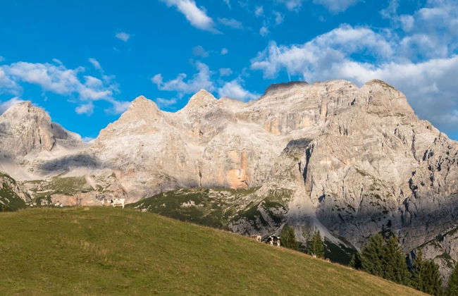 Maso Dolcevista - Foto 50