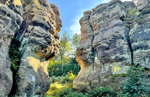 Oswald Hempel 5 Zimmermaisonette und 3 Zimmer Loftwohnung - Foto 67