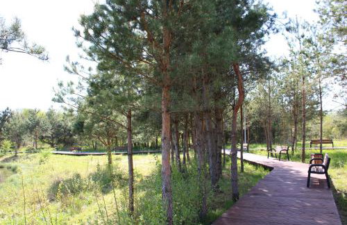 Domki Fajnie.Tu - Foto 27