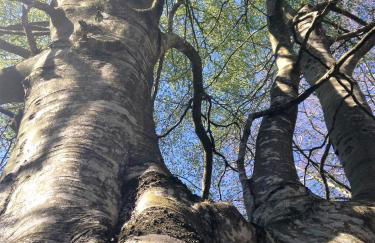 Casa Rural Balerdi - Foto 46