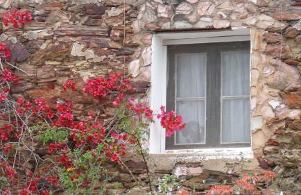 Born to Stay in Milfontes - Foto 46