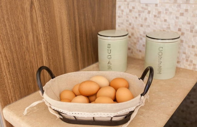 Olive Tree Farm - Foto 15