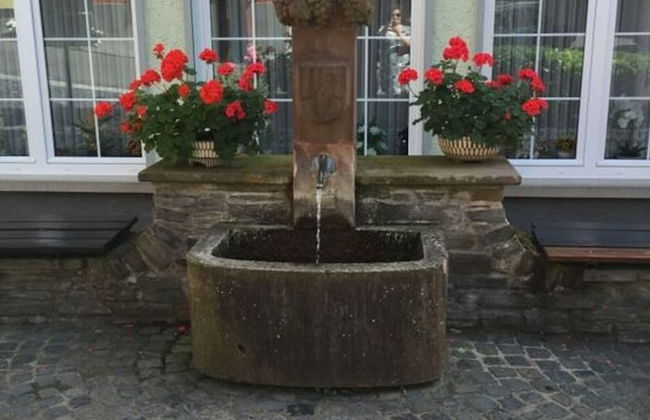 Holiday Home Vinea Comfortable Holiday Residence - Photo 17