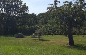 Apartament Pod Orzechem - Foto 26