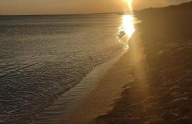 Villa Oliveto - Foto 42