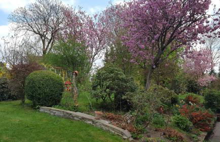 Hoffmanns-Hof-Sinspert - Foto 56