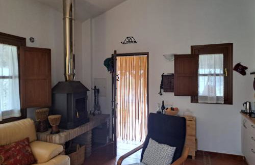 Salvador - Foto 20
