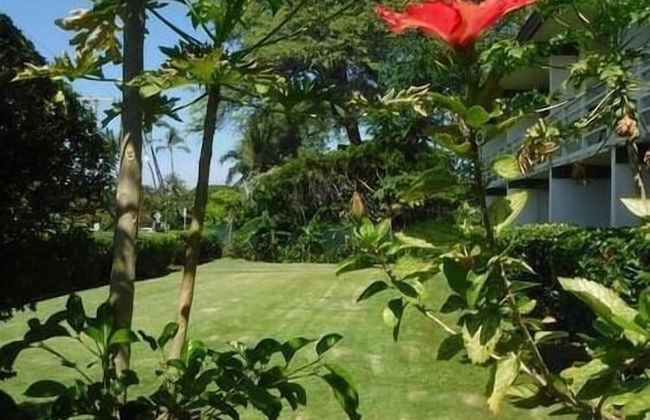 Kona White Sands A4 Romantic Ocean View! - Foto 14