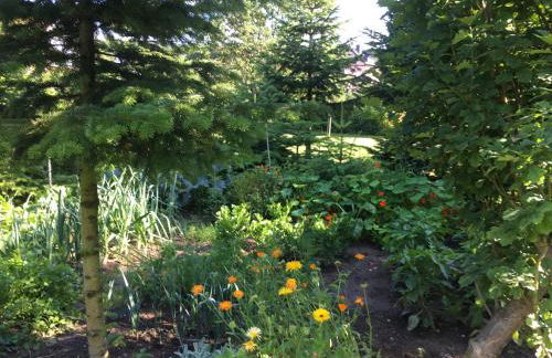 Ferienwohnung Fachwerk-Home - Foto 28