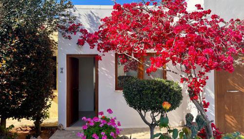 Kali Holiday Apartments - Foto 3, Garden, Garden view