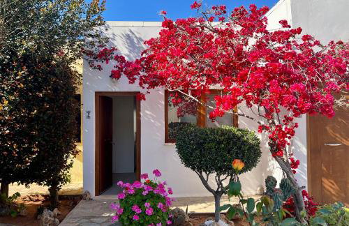 Kali Holiday Apartments - Foto 3