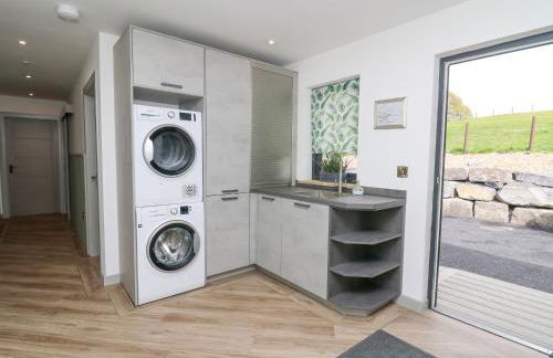 Barcud Coch - Red Kite - Photo 15