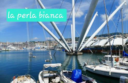 La perla bianca - Foto 68