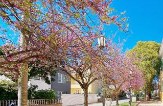 Villa Puntina, Bibinje - Foto 70