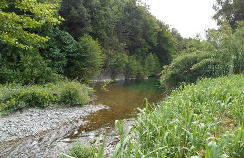 B&B la rivière - Foto 13