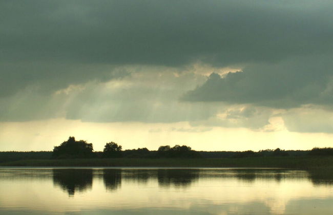 The Fischerhaus on Lake Malkwitzer See - Foto 19