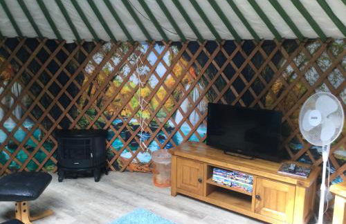 Green Yurt with Hot Tub - Sleeps 3 Parking & Pets - Photo 31