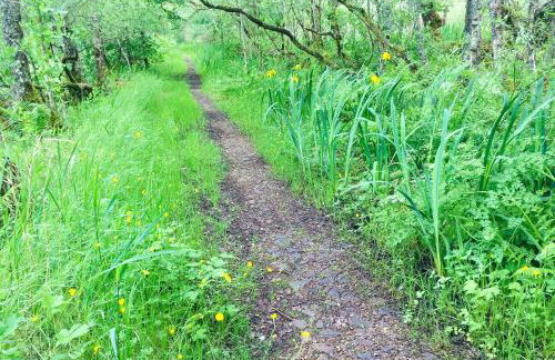 Seal Cove Cabin - Luxury Glamping - Foto 28