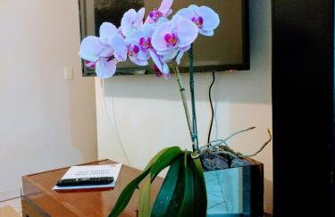 Casa dos Franz - Foto 9