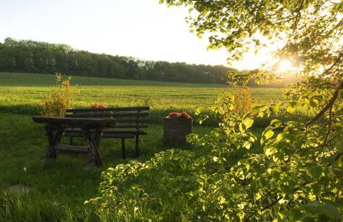 FeWo Gutendorf - Photo 31