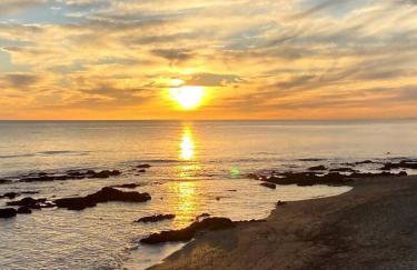 SR Adelina's Panoramic Sea view Calahonda - Photo 50