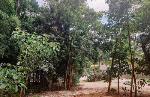 Recanto das Videiras - Casa em Vinícola - Foto 113