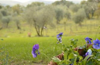 Agriturismo Riparossa - Foto 58