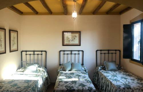 Cortijo El Carmen Finca El Revuelo - Photo 9