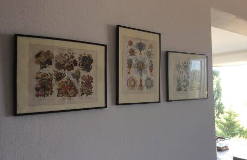 The Sea Cottage Apartments - Foto 41