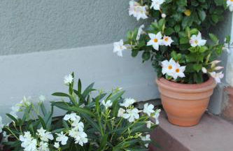 Ferienwohnung Mit Herz - Foto 25