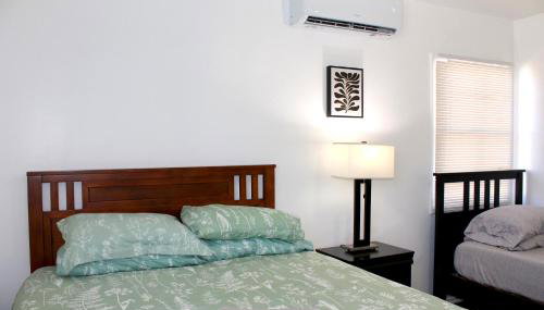 Los Angeles Red Rose - Foto 5