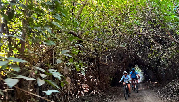 Vegetação exuberante de Huatulco
