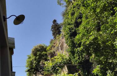 La Provence vous Attend***!!! - 1er étage - Foto 23