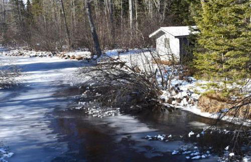 Mud Creek Cottage - Photo 56