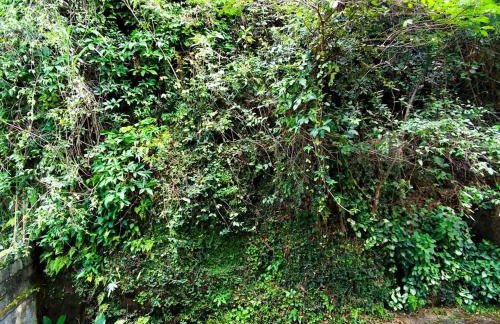 Apto grande Estilo e Conforto UFJF, Shopping, Centro - Photo 32