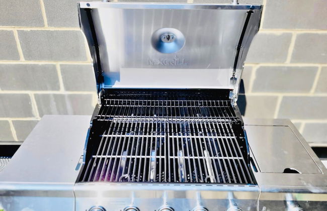 Liv MTL - Plato - Foto 68