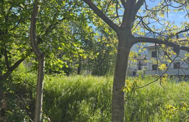 Il Giardino di Sant'Eufemia - Foto 65