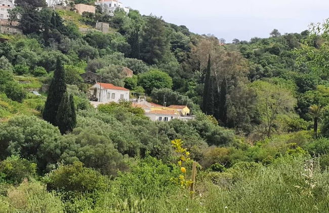 Diamoni Afroditi - Photo 27